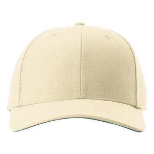 Surge Snapback Cap
