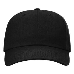 Sustainable Ashland Dad Hat