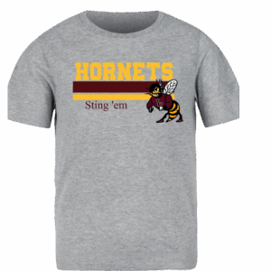 Lometa Cheer Sting 'Em
